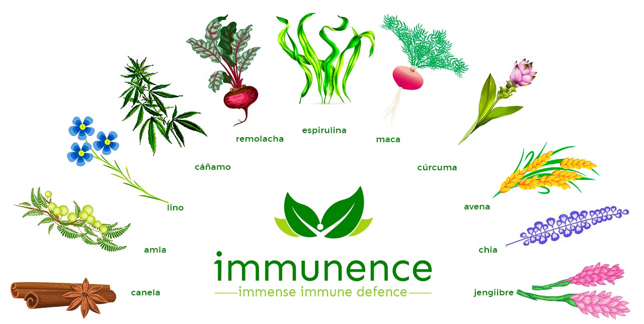 Lista de Ingredientes de Immunence