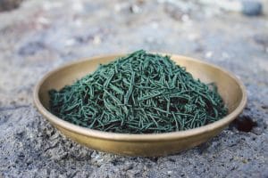 Spirulina Maxima Improves Insulin Sensitivity, Lipid Profile, and Total Antioxidant Status in Obese Patients With Well-Treated Hypertension