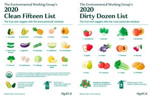 The ‘Dirty Dozen’ And ‘Clean Fifteen’